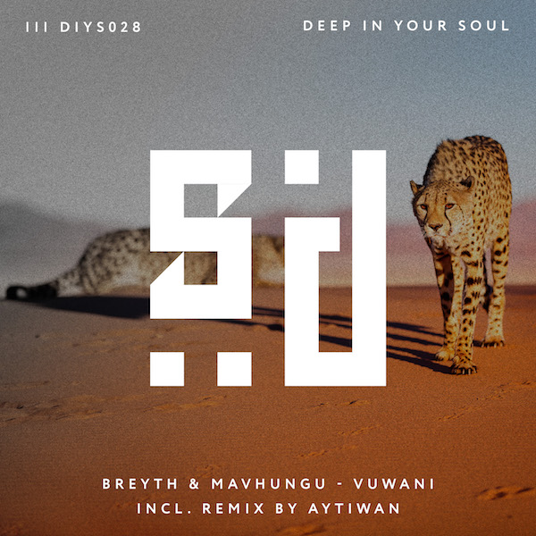 DIYS028