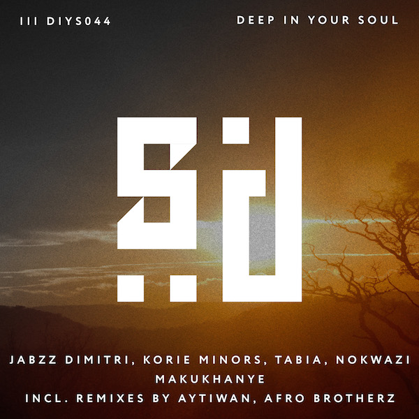 DIYS044