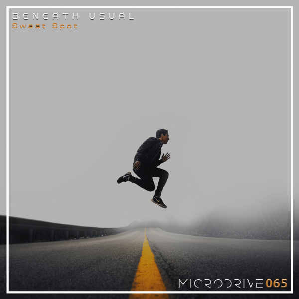MIC065